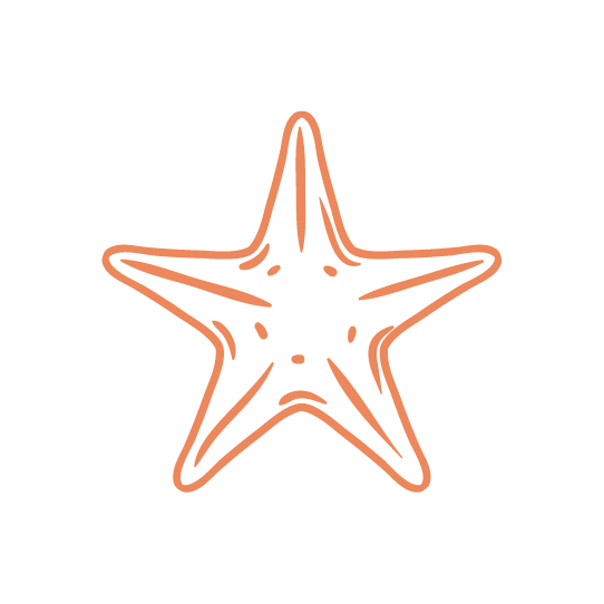 ClubMum Fiji Retreat star icon